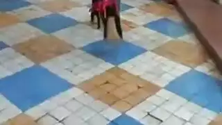 جوارب طويلة صنم جوارب طويلة صنم و جوارب طويلة صنم جوارب طويلة صنم جوارب طويلة جوارب عالية الدقة