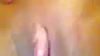 وحشي النمساوي