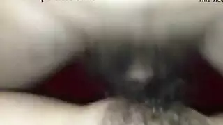 القزف داخل الكس تجميع