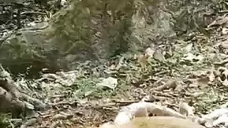 ماراثون إدخال مزدوج مع شقراوتين محبتين للحيوانات